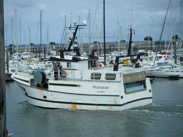 Cliquez sur l'image pour la voir en taille réelle 

Nom : 		sortie bassin arcachon 015.jpg 
Affichages :	1 
Taille :		102,1 Ko 
ID : 			448907